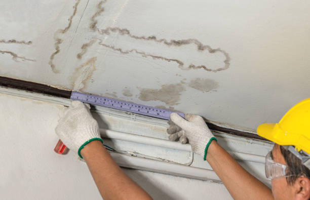 Reliable Mold Remediation contractor in Junction City, KY by Water Damage Irwin
